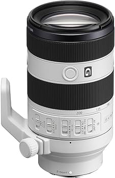 Amazon.com : Sony FE 70-200mm f/4 Macro G OSS II Full-Frame